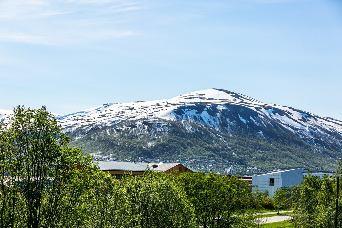 Utsikt