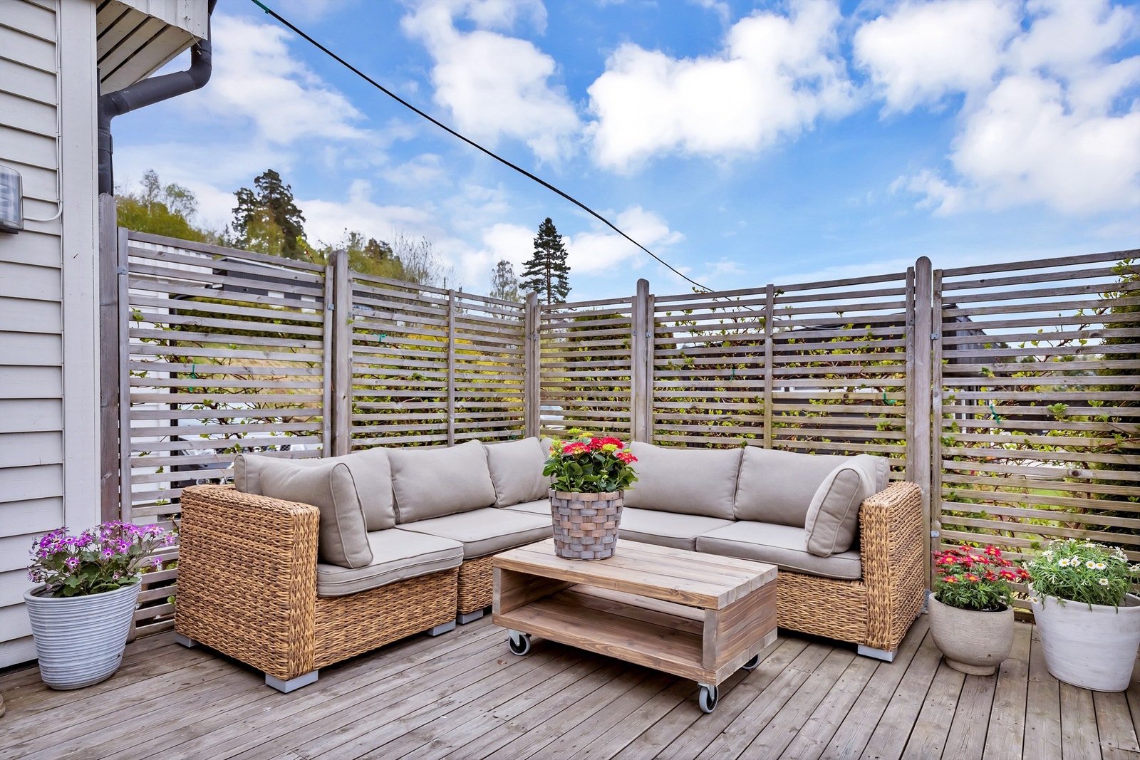 Hyggelig terrasse Galleribilde