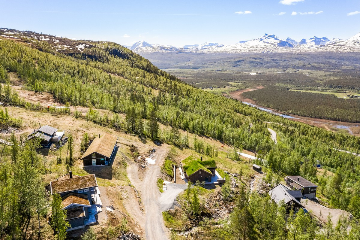 Området