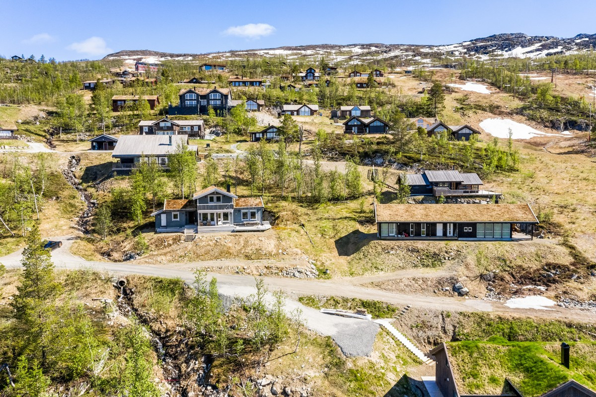Området