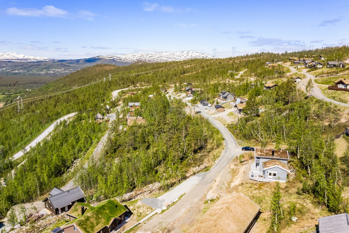 Området