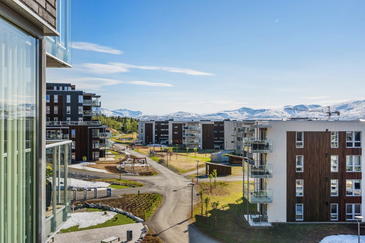 Området
