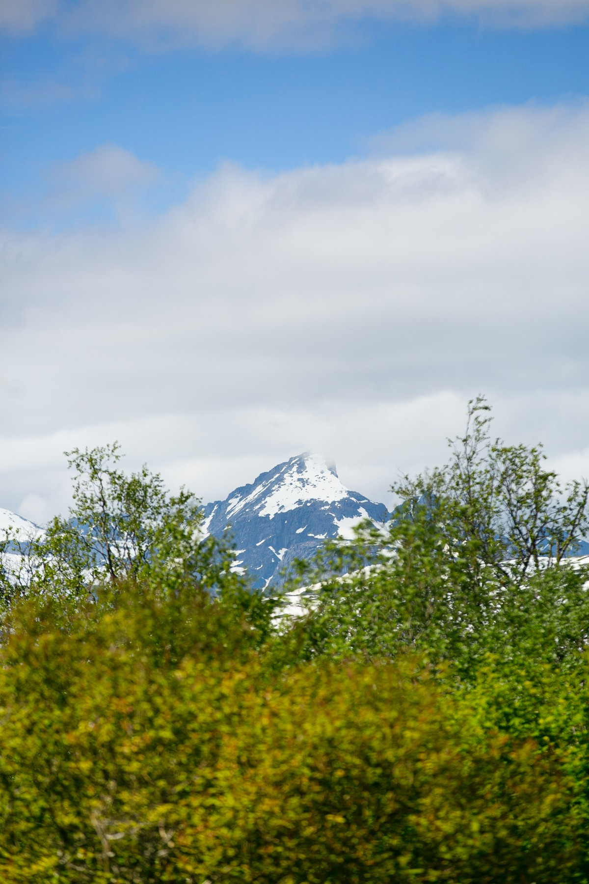 Fra boligen er det utsikt mot Store Blåmann og Kvaløya