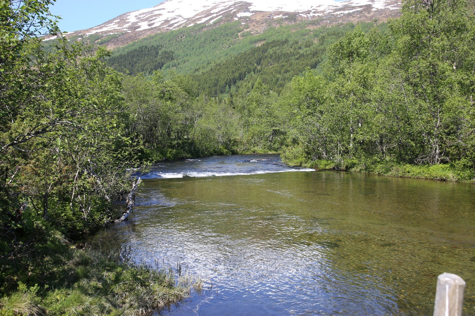 Det er fleire fiskevatn i nærområdet Galleribilde
