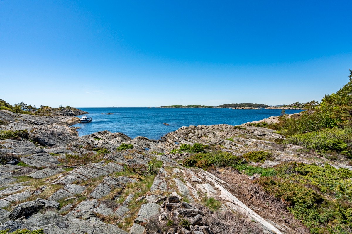 Utsikten ut mot havet Galleribilde