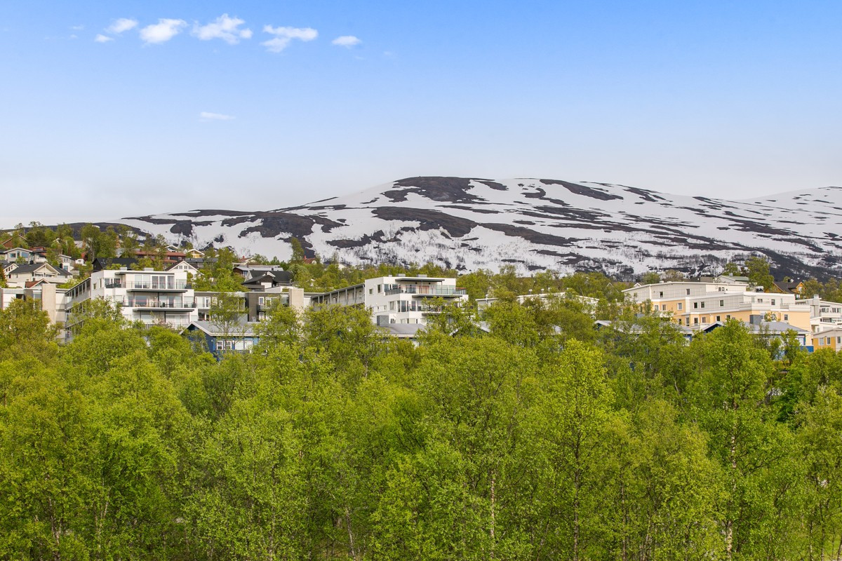Omkringliggende område består av frodige grøntarealer og storslåtte fjell