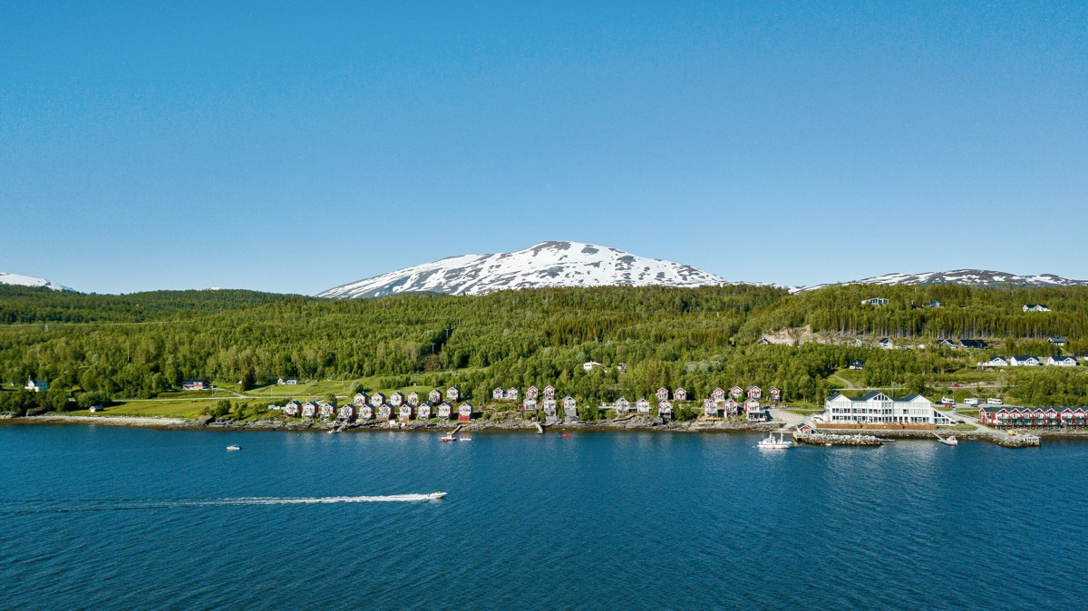Området