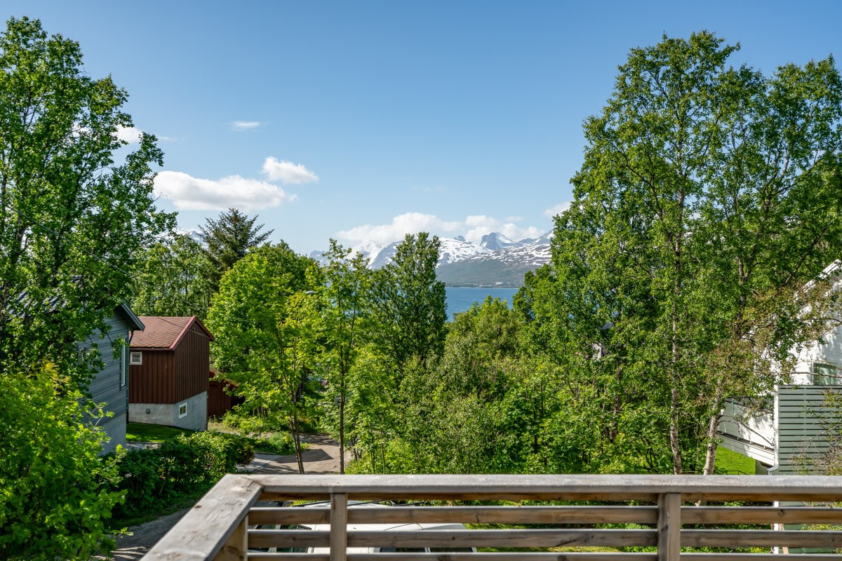 Området er kjent for svært gode lys- og solforhold