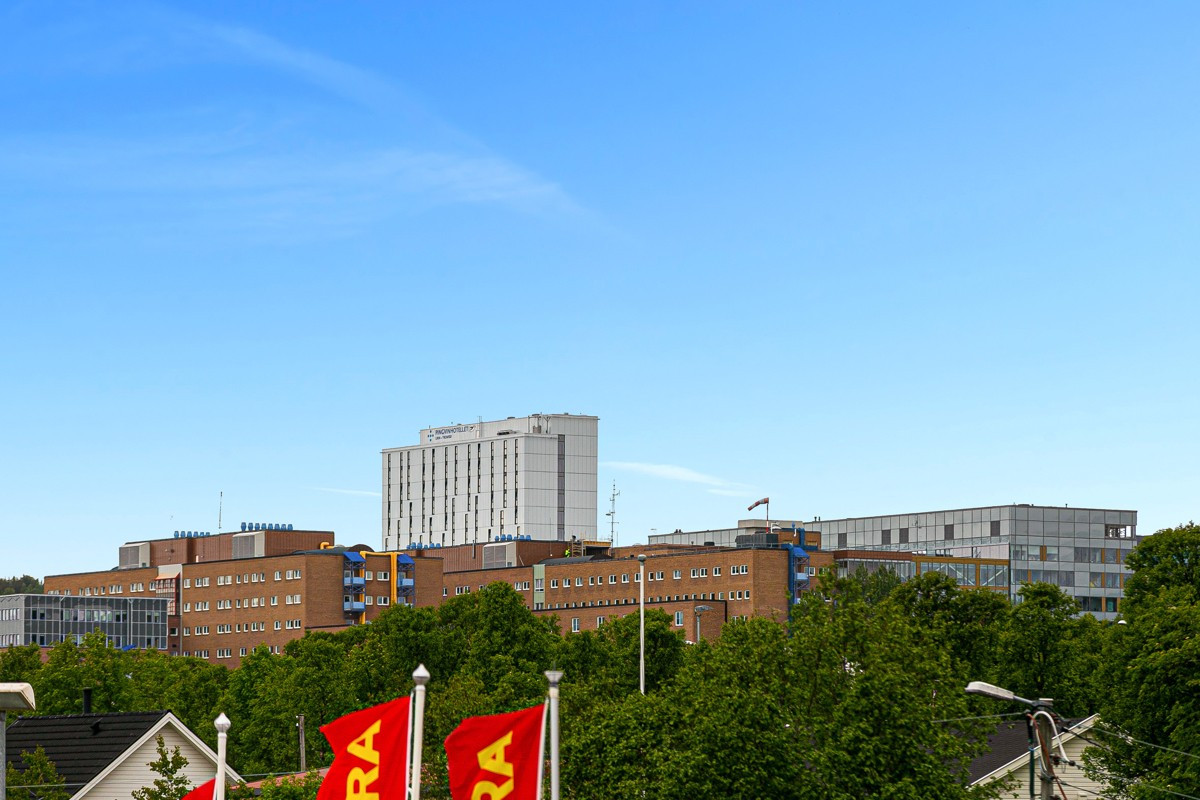 Området