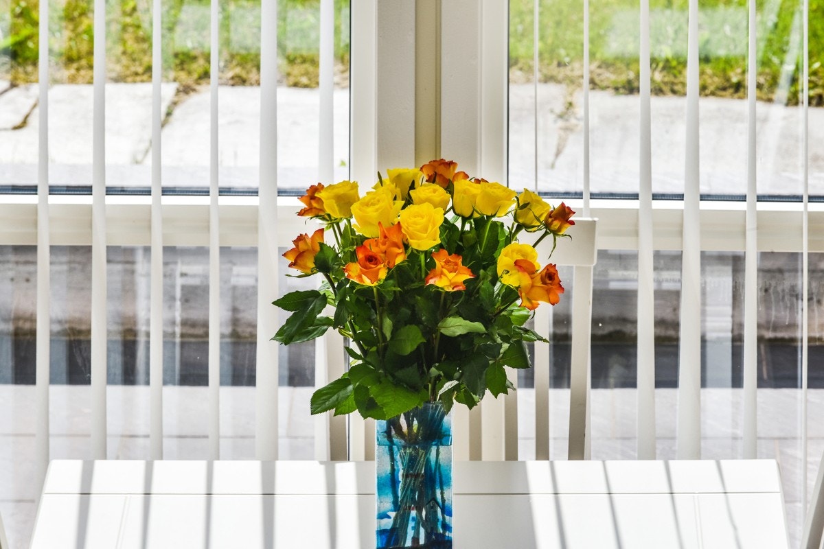 Detaljbilde. Galleribilde
