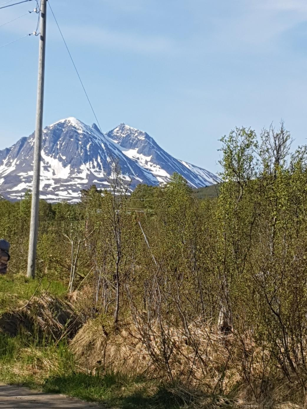 Området/beliggenhet