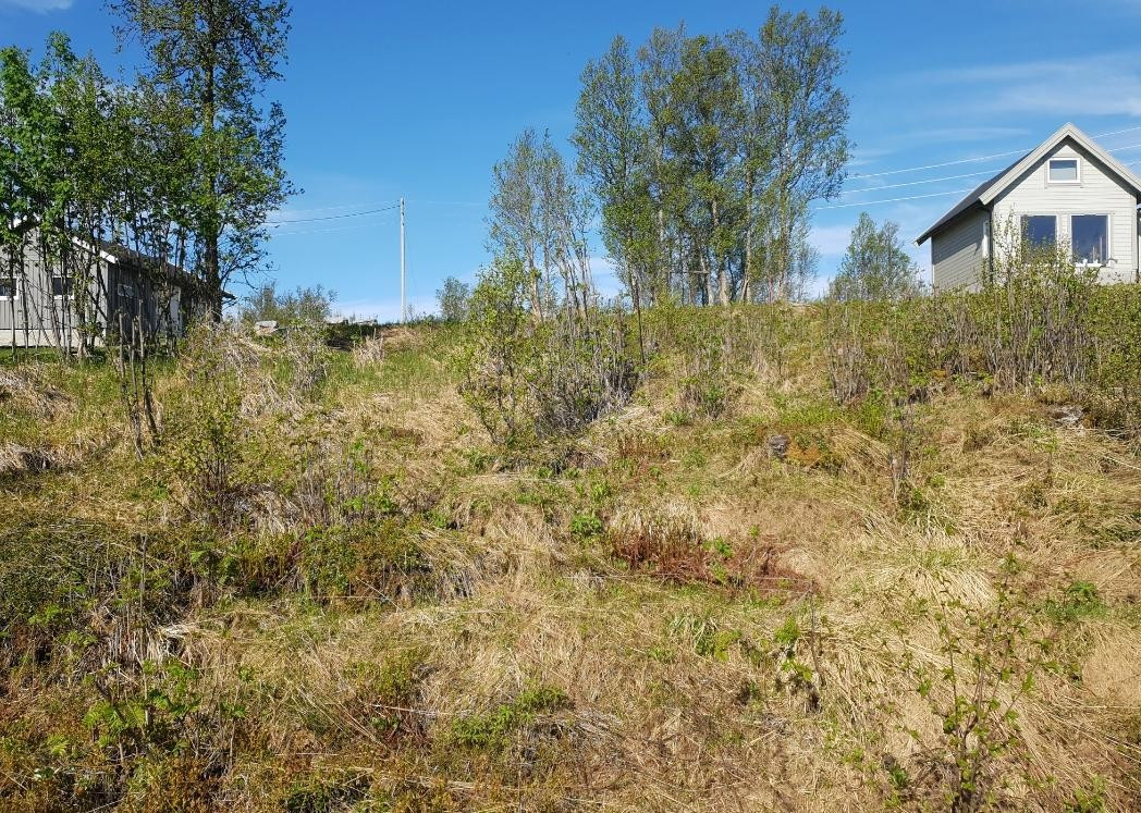 Per i dag er det et uthus på tomten, på ca 10 kvm