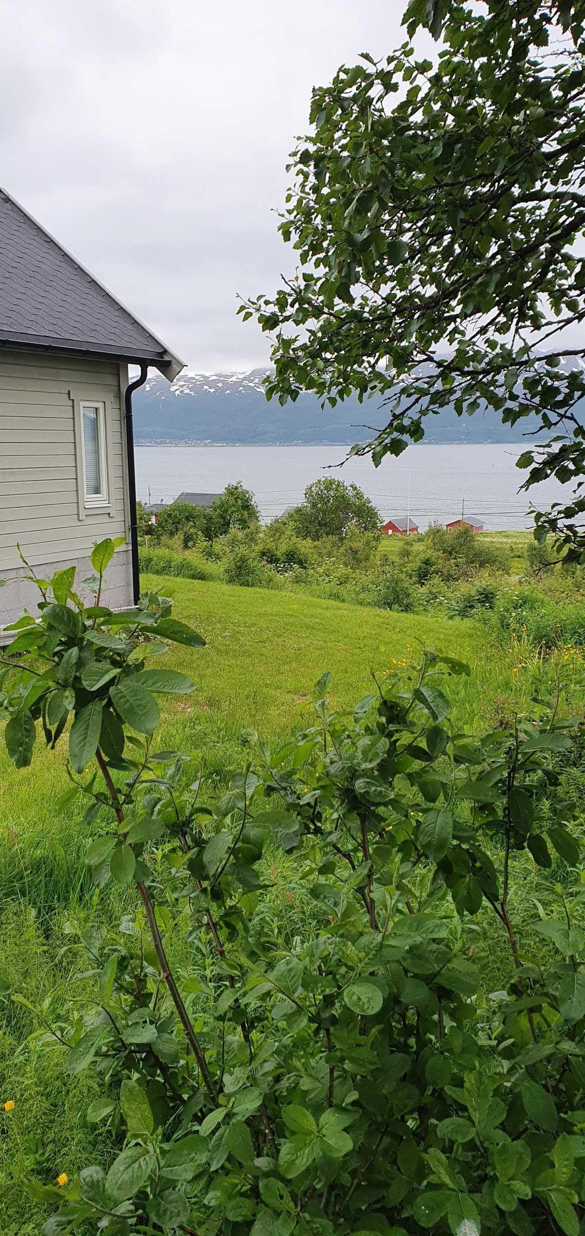 Området/beliggenhet