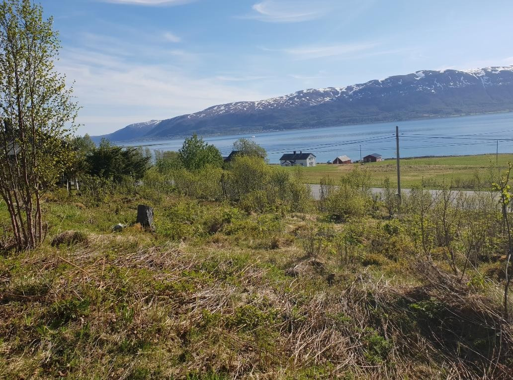 Området/beliggenhet