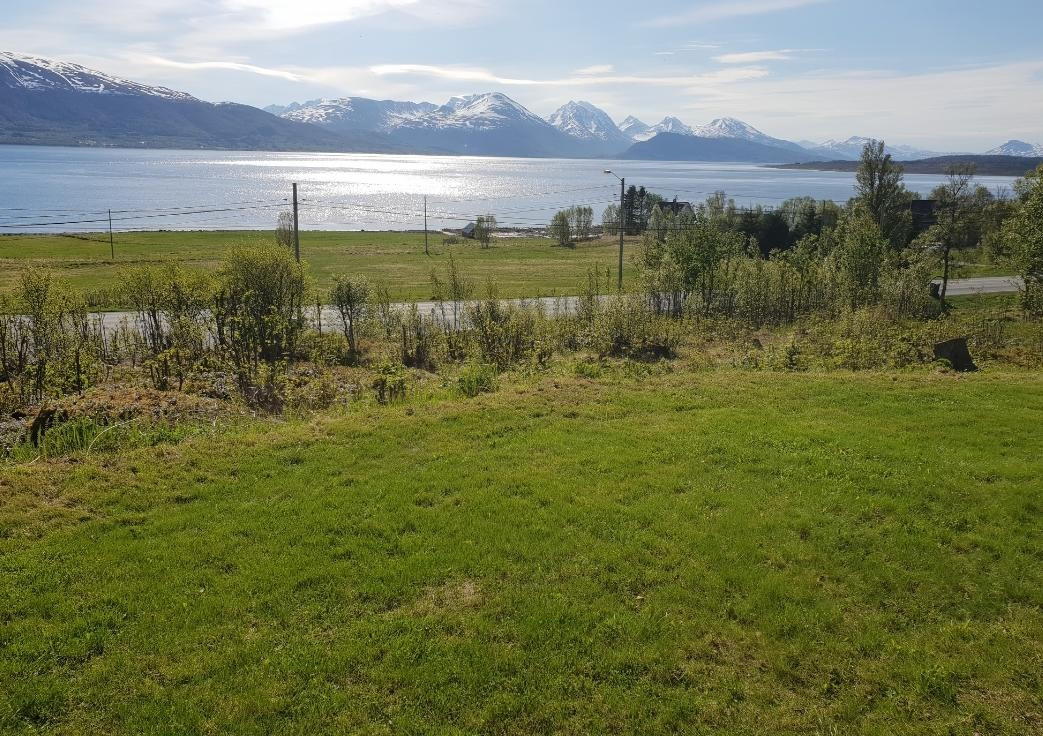 Området byr på en flott utsikt og svært gode solforhold