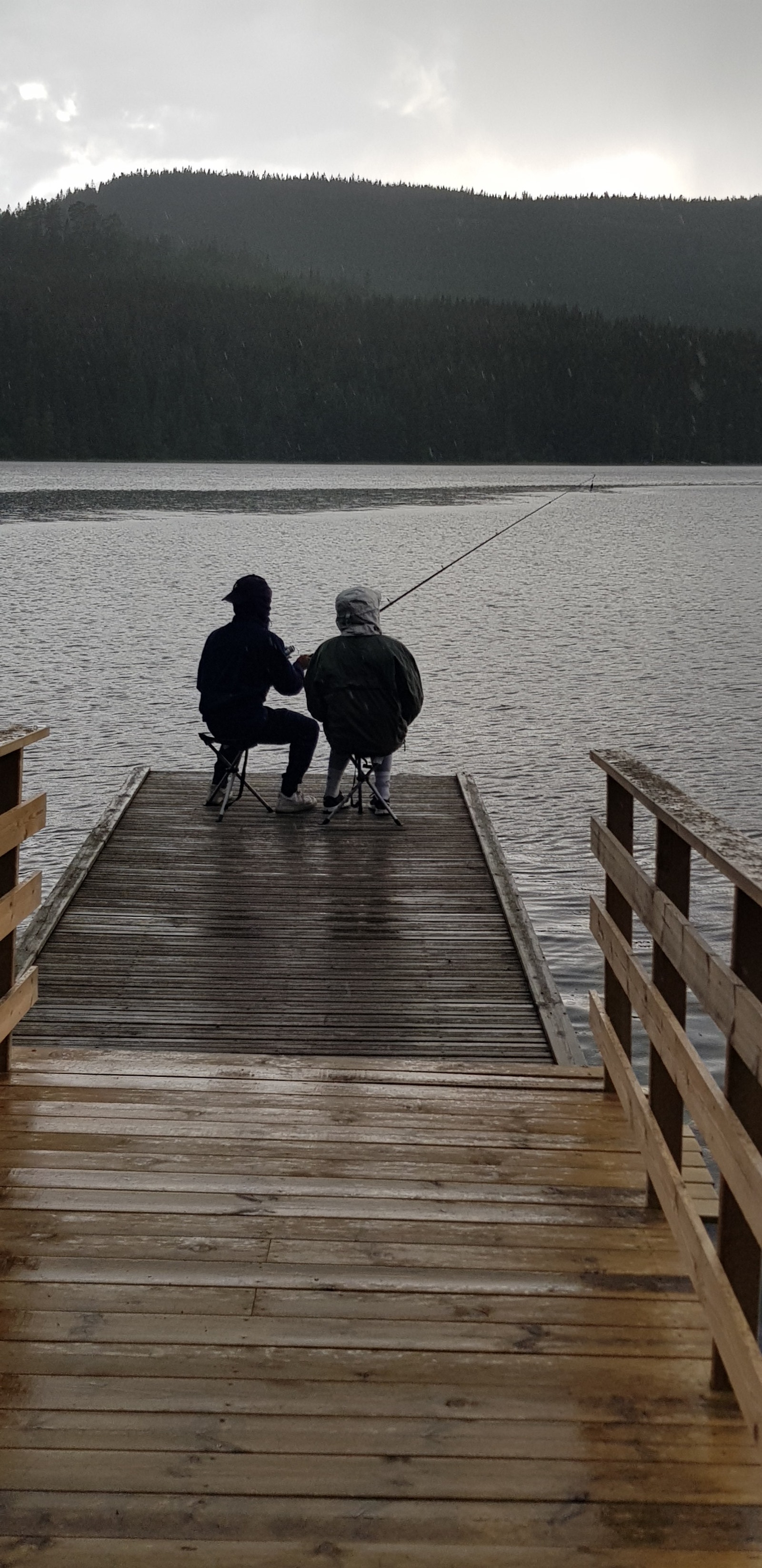 Flere skogsvann og tjern med fine badeplasser og gode fiskemuligheter Galleribilde