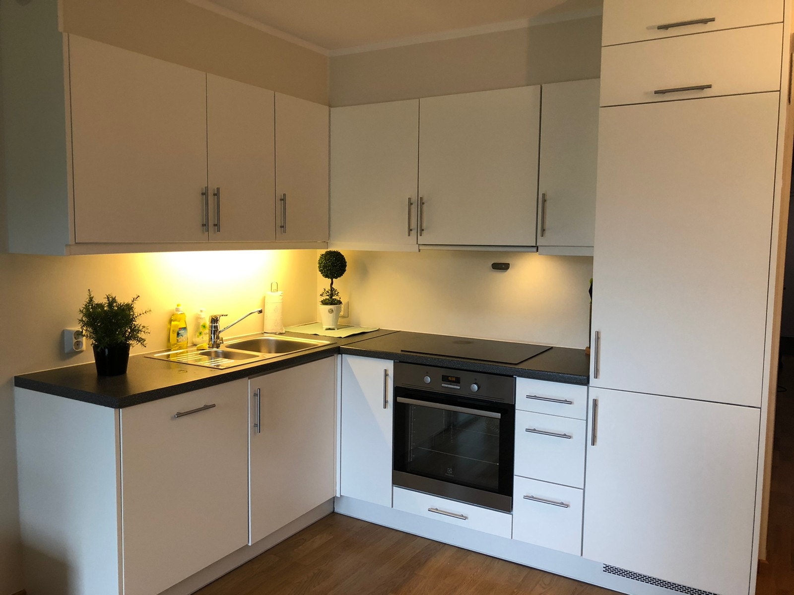 Oppvaskmaskin, kjøleskap, fryser, komfyr og steketopp. Galleribilde