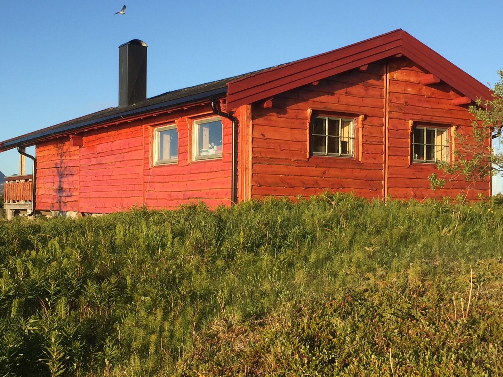 Hytta nymalt 2020 Galleribilde