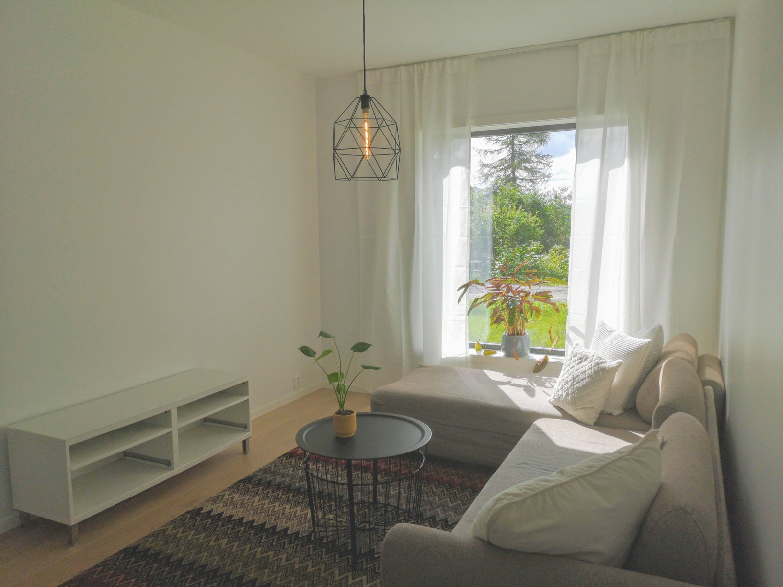 Fin utsikt og fine lysforhold. Galleribilde