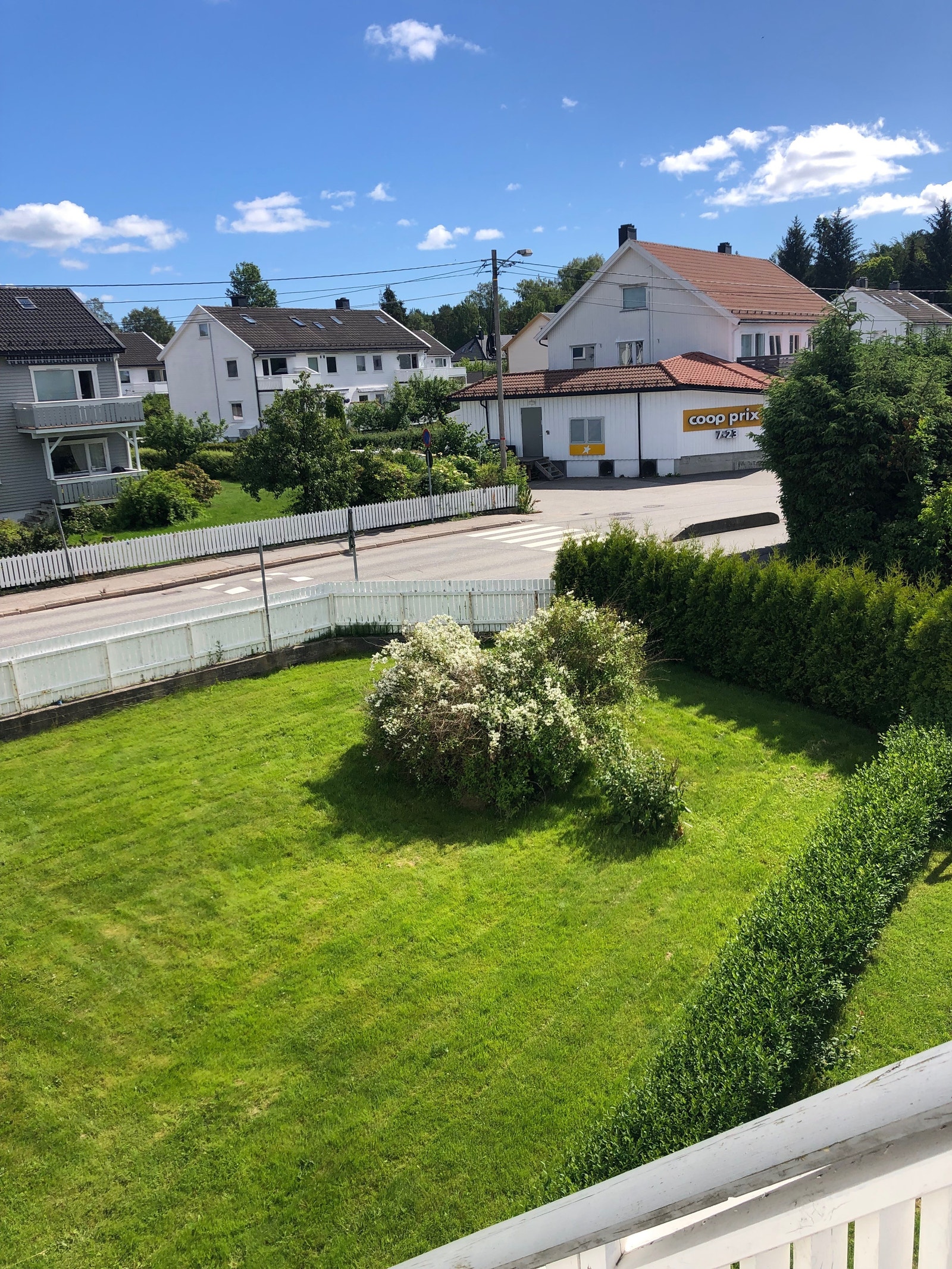 Hage med coop i bakgrunnen over veien Galleribilde