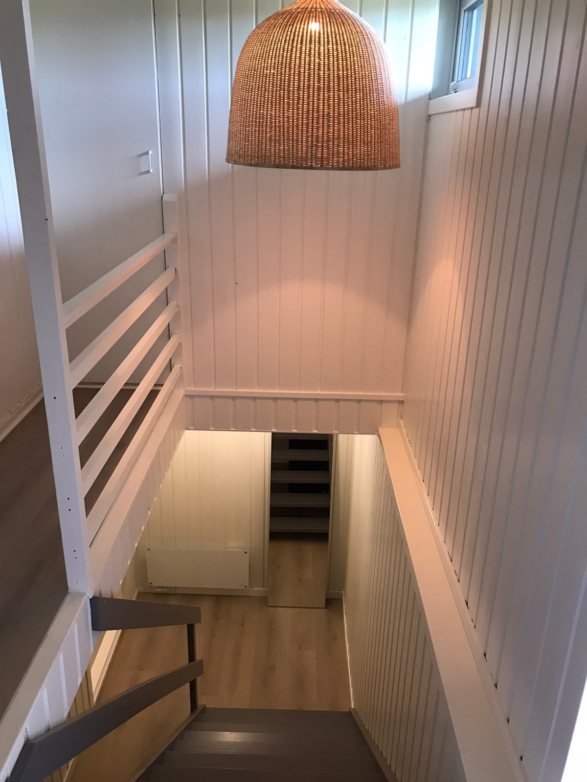 Entre Dog bod Galleribilde