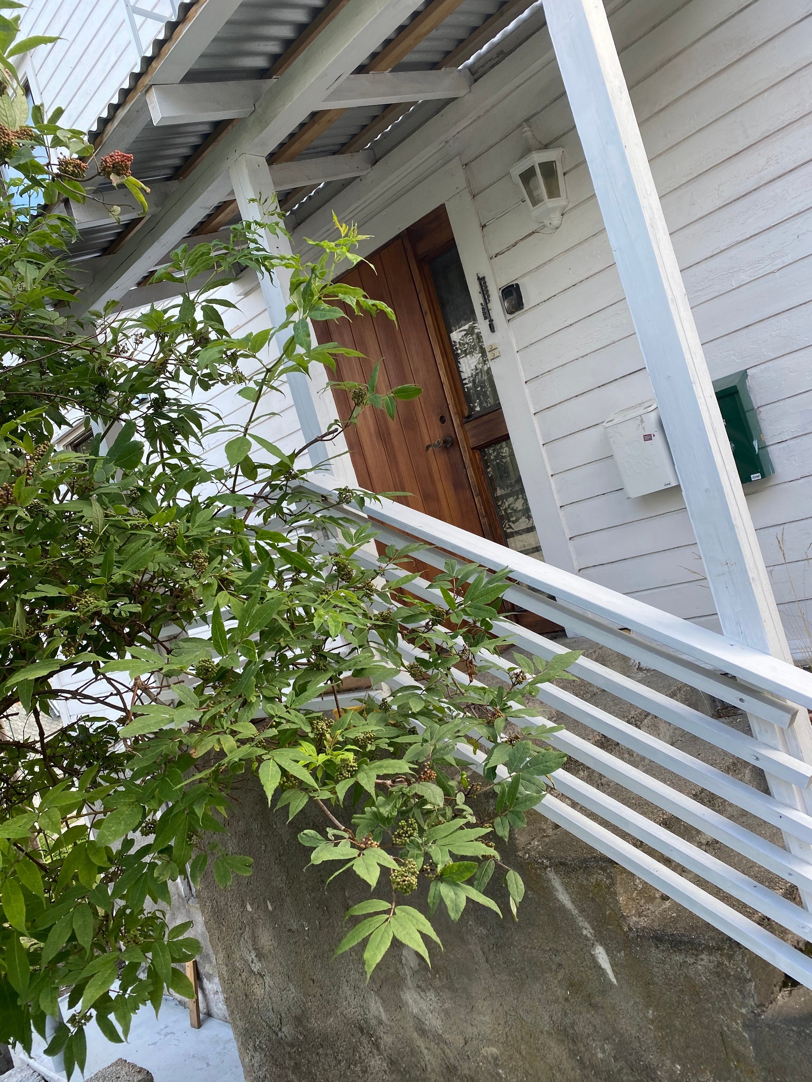 Inngang Galleribilde