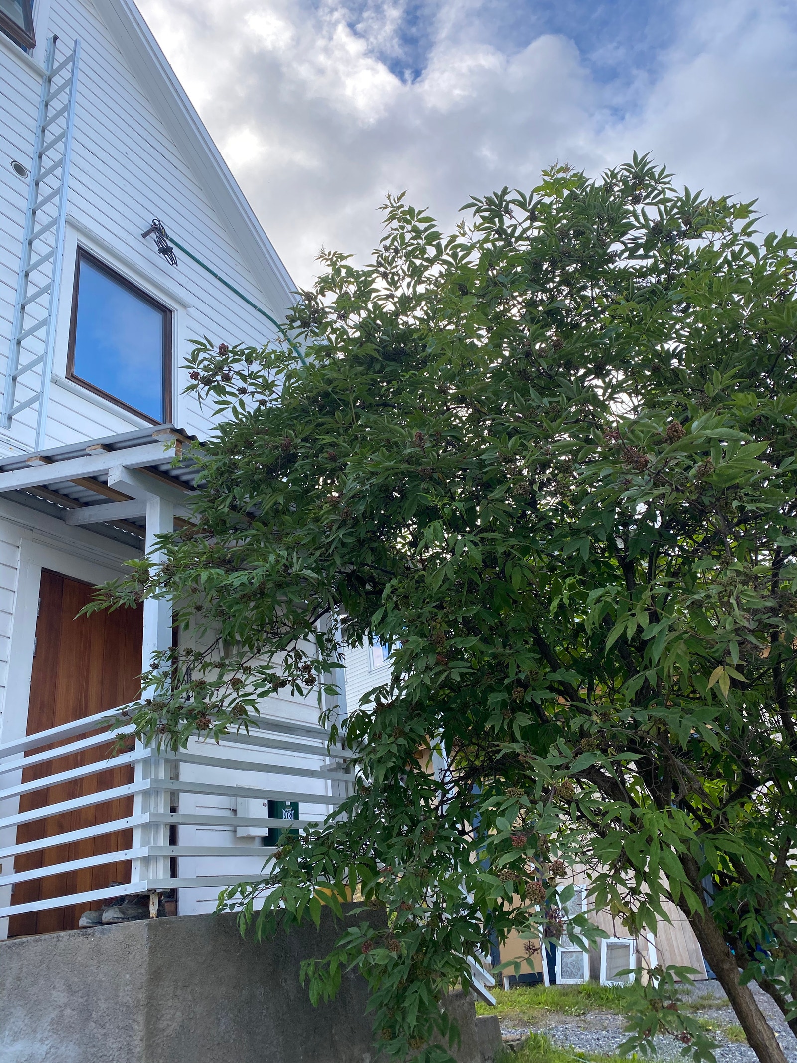 Inngang Galleribilde