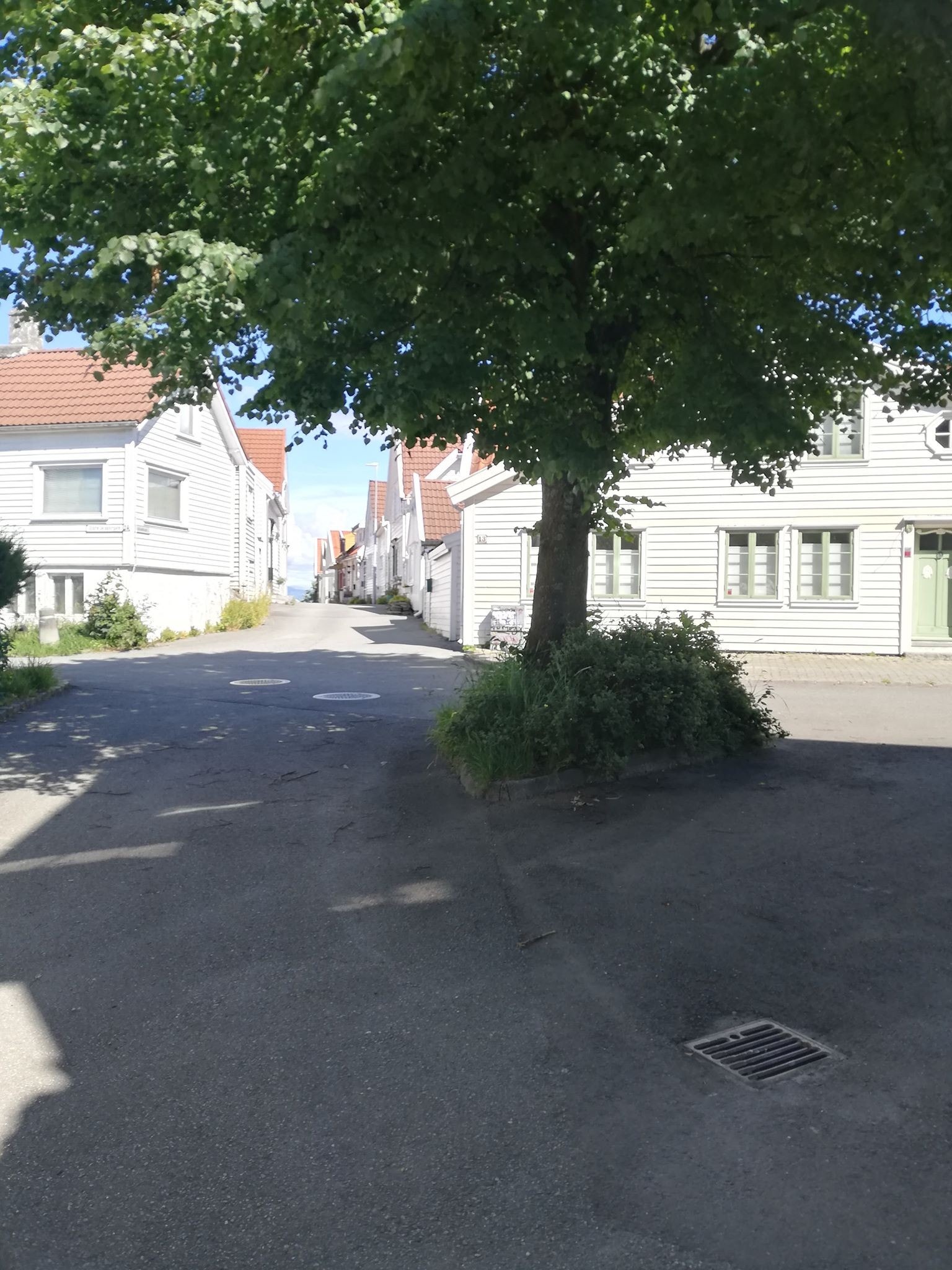 Nærmiljø Galleribilde