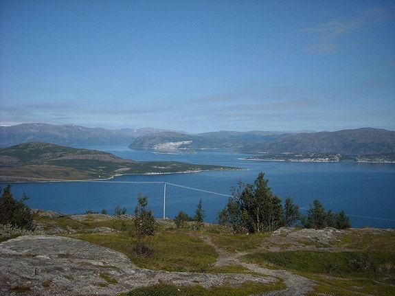 Området Galleribilde