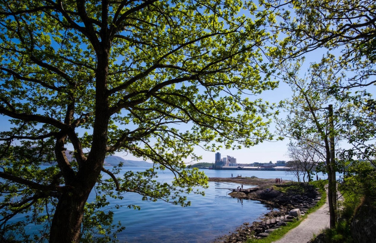 Turområde Galleribilde