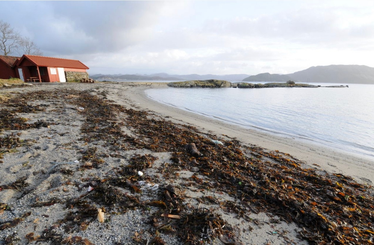Godalen badestrand innen kort gåavstand Galleribilde