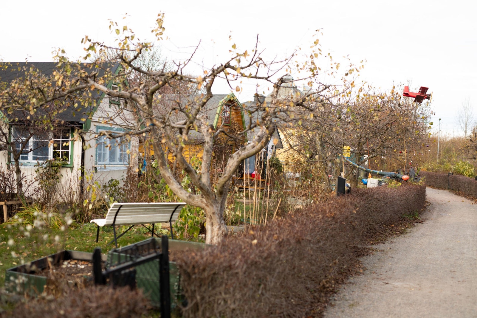 Etterstad kolonihage - hyggelig miniatyr hus med frodige og grønne omgivelser Galleribilde