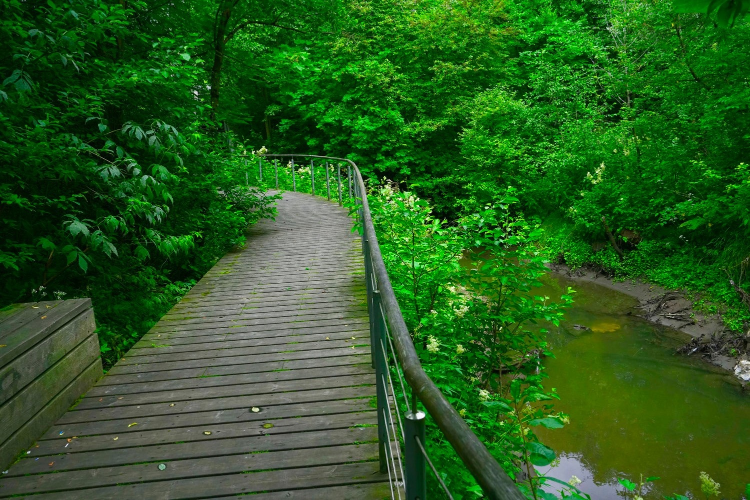 Flott og frodig langs Alnaelva Galleribilde