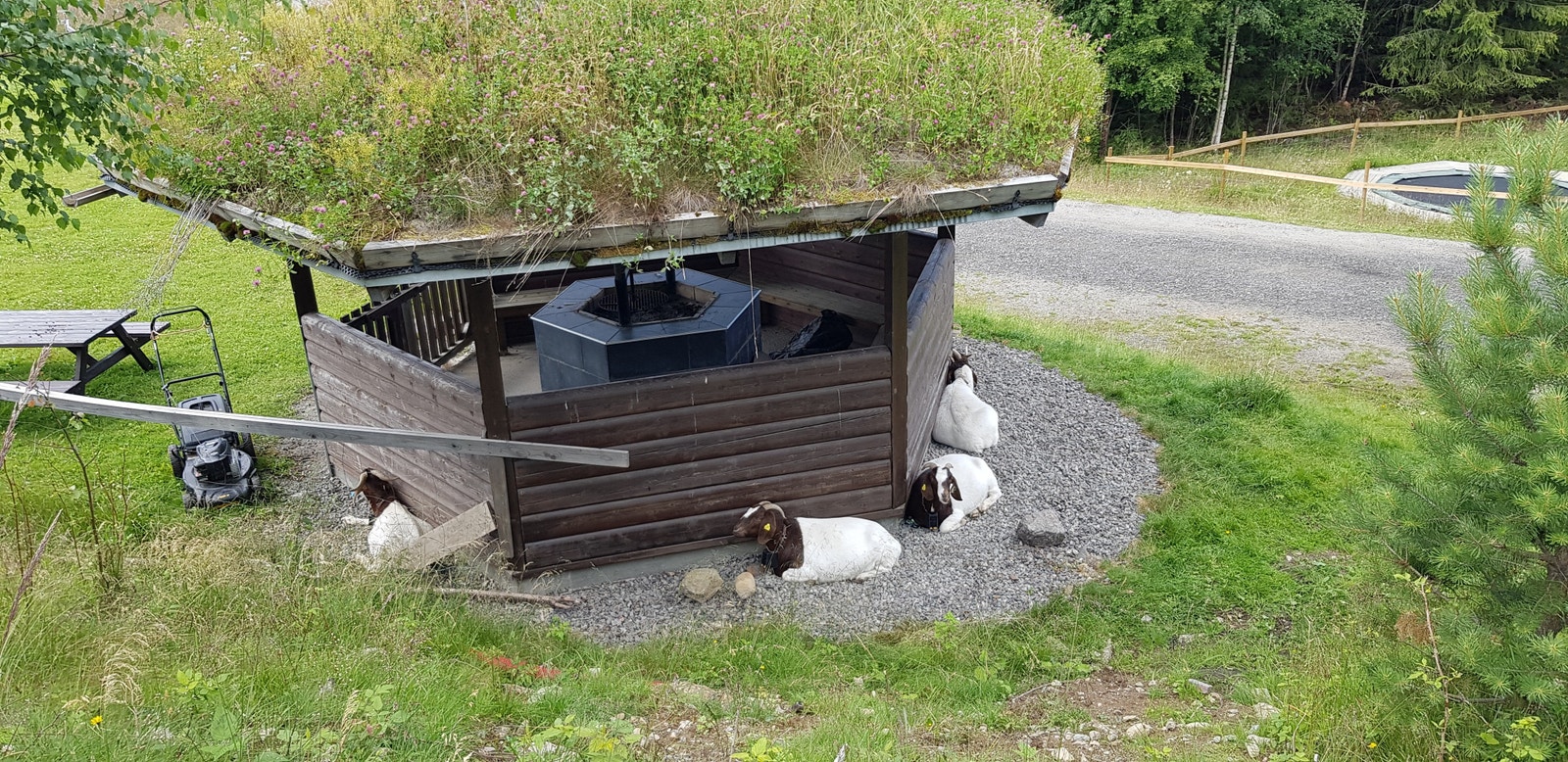 Fells grillplass ved lekeplass Galleribilde