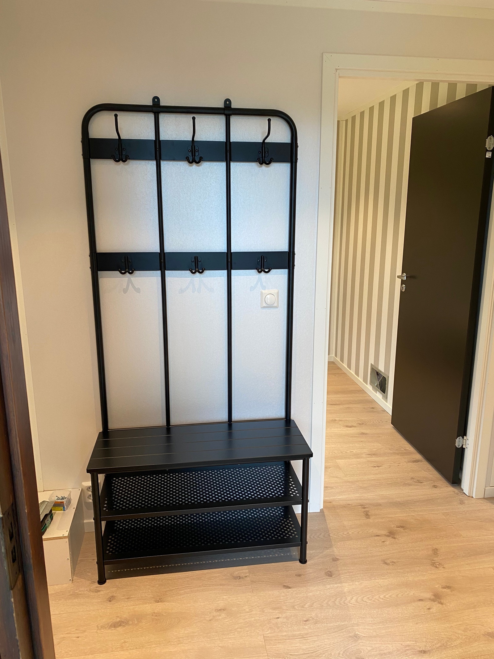 Gang med kott ved siden av. Galleribilde