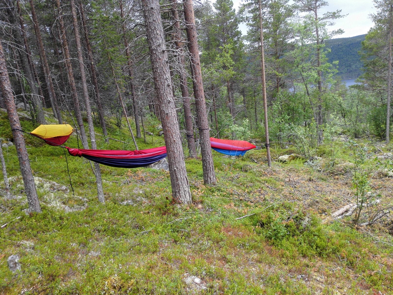 Barna har fått et helt eget område på 1,5 mål; her kan det lages trehytter, og til sommer er det planlagt en stor lavvo med sengeplasser inne. Her er alle muligheter for barna å ta kort-reist overnatting i nærområdet Galleribilde