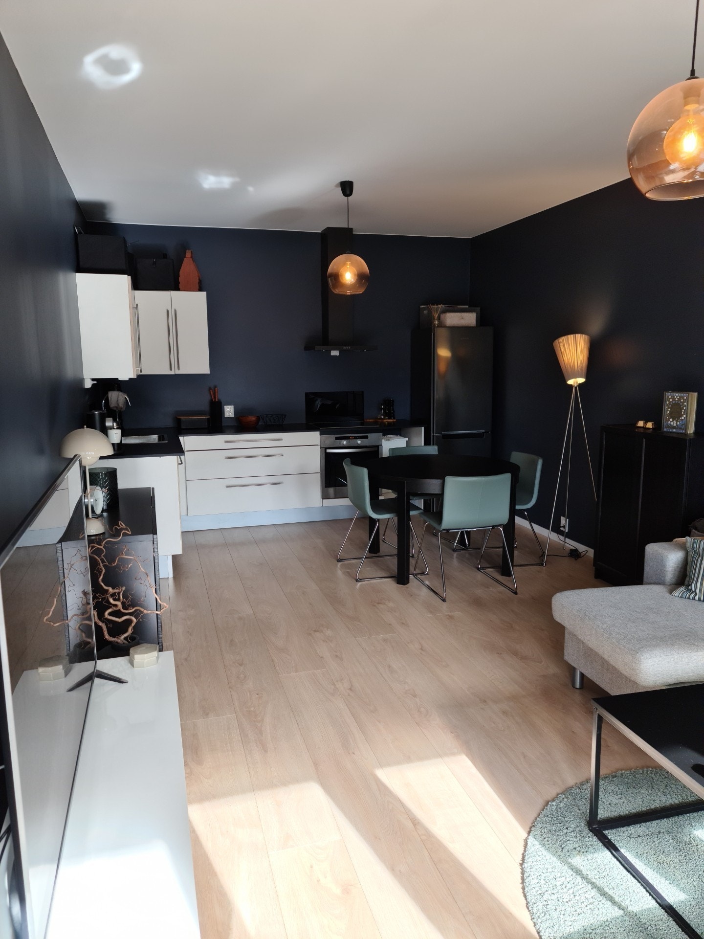 Stue/kjøkken 1 Galleribilde