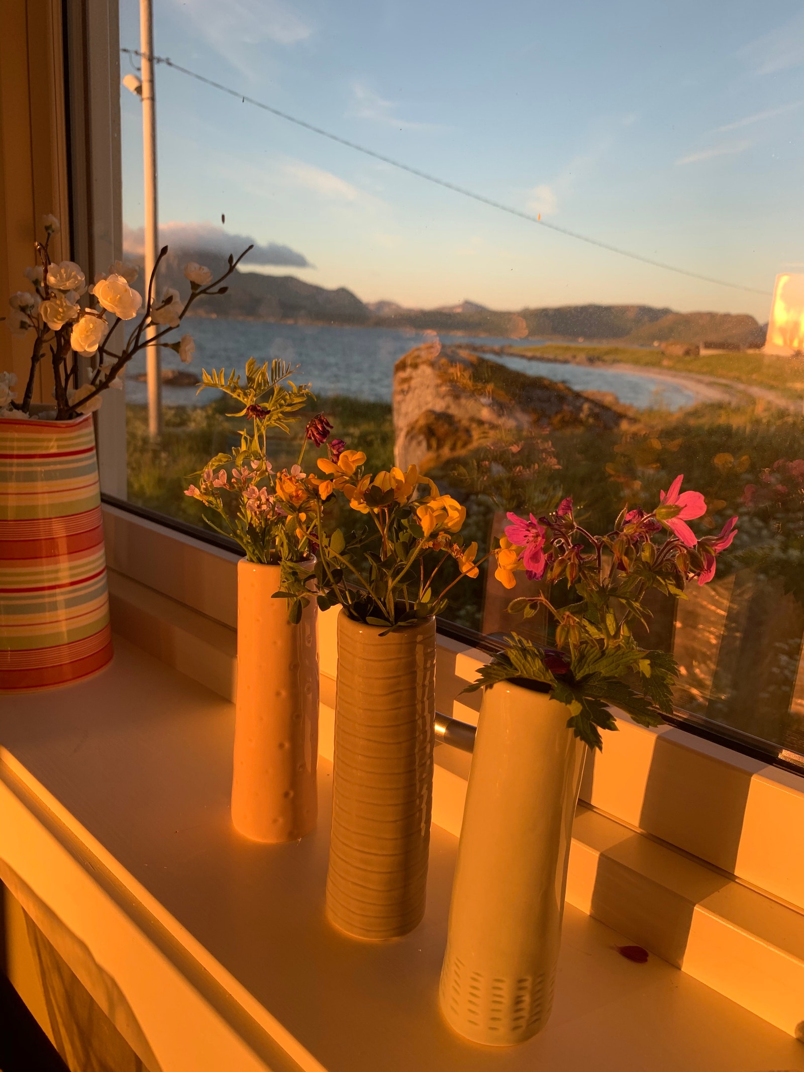 Når midnattssola skinner i kjøkkenvinduet Galleribilde