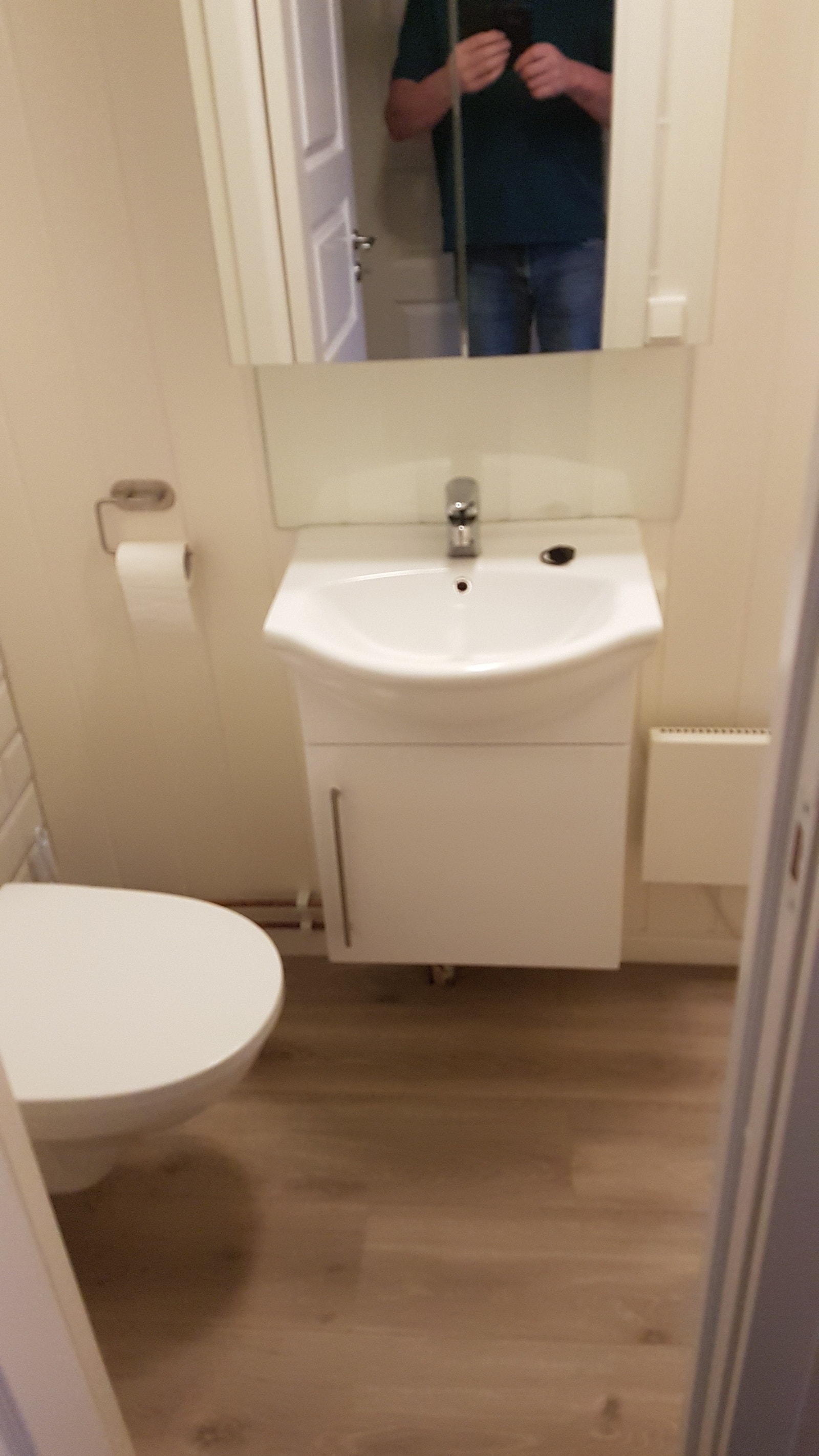 Toalett/ vask Galleribilde