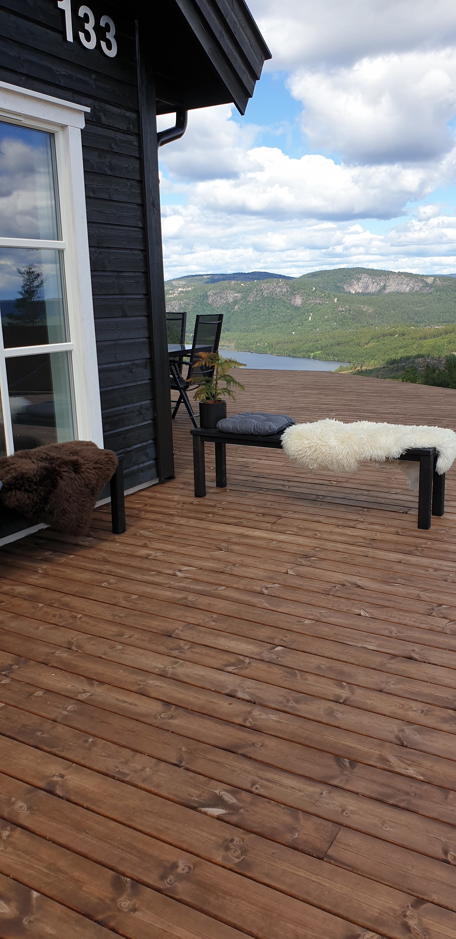 Sommer Galleribilde