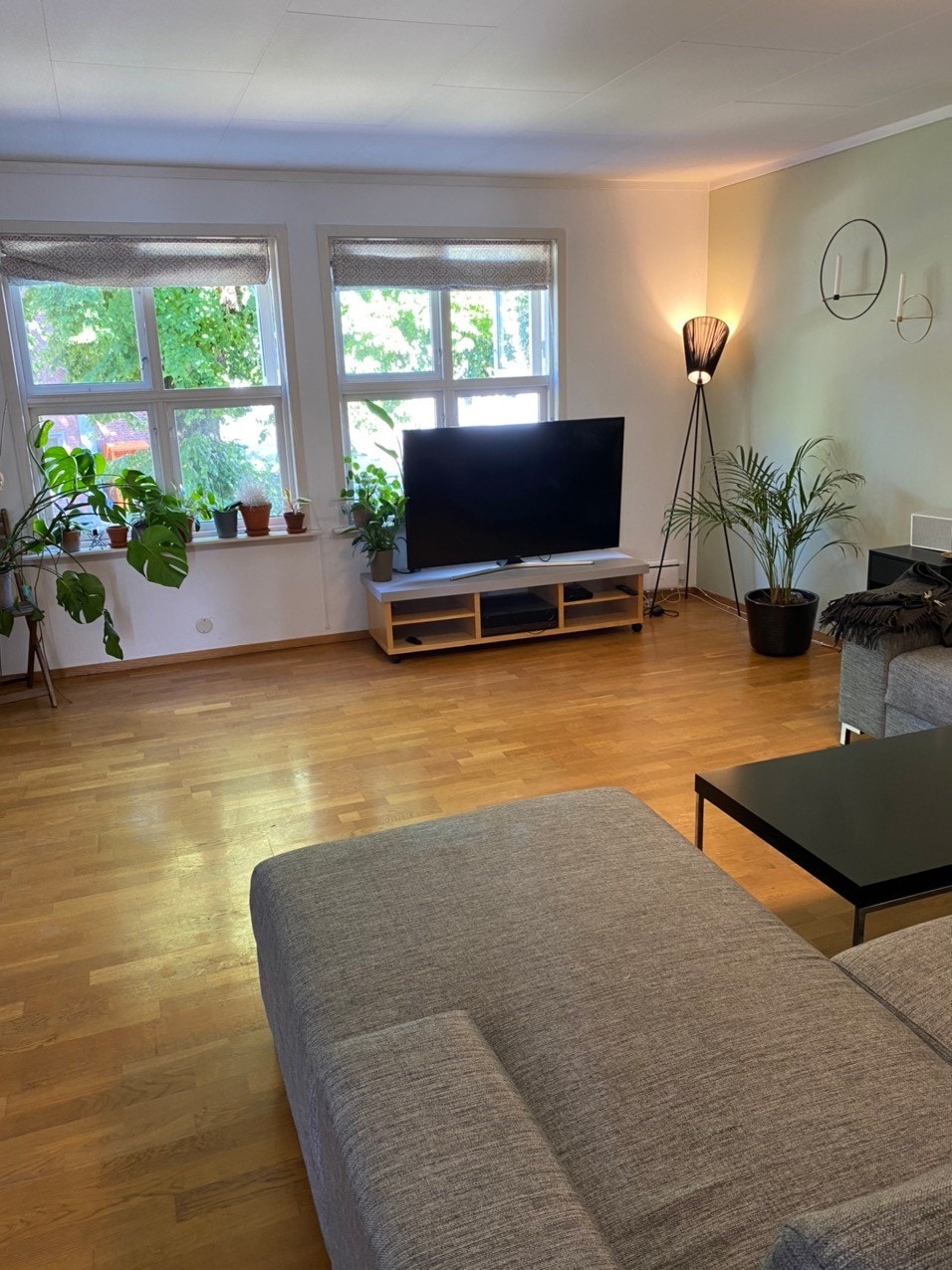 Stue Galleribilde