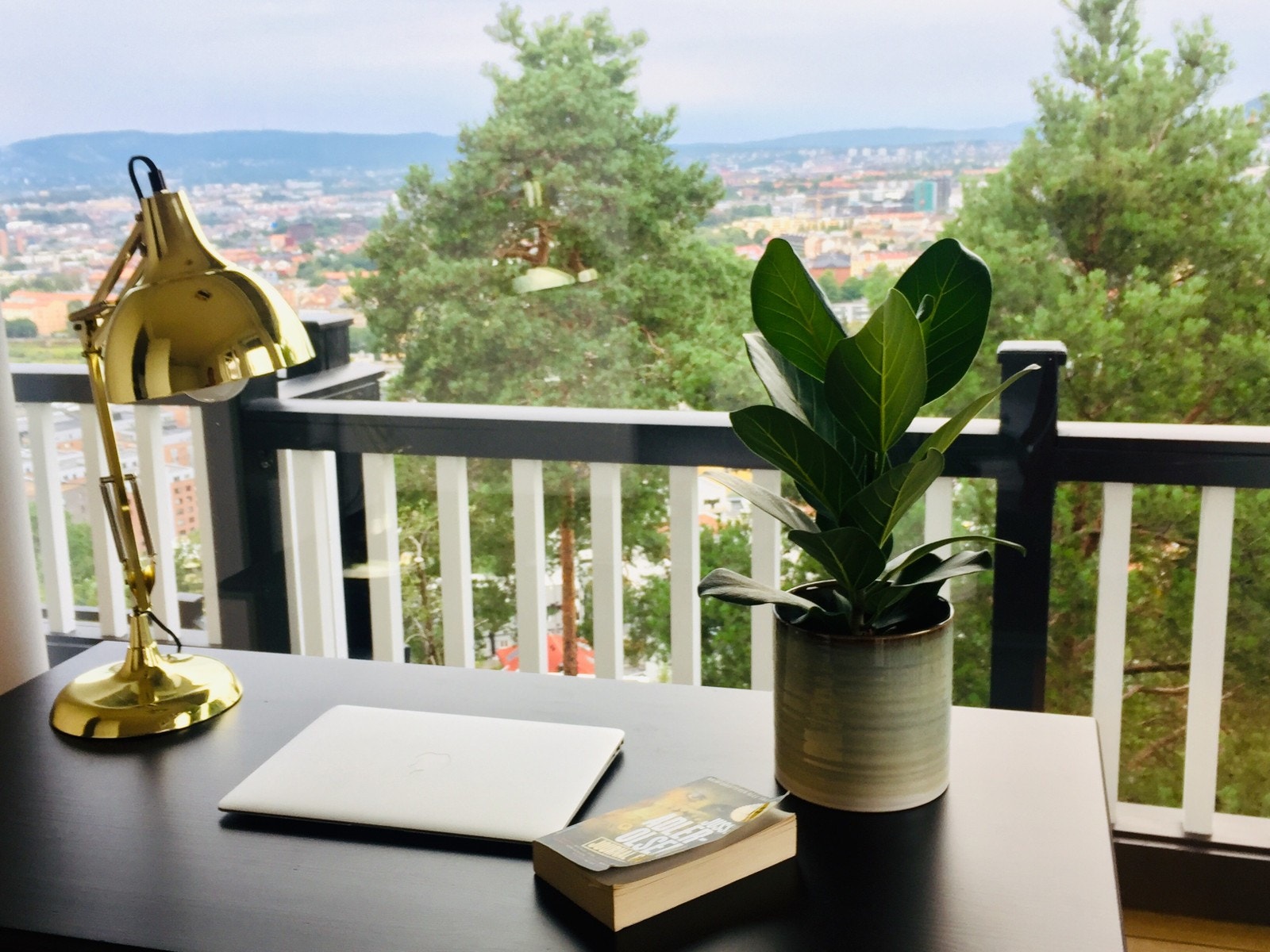 Byens beste utsikt. Galleribilde