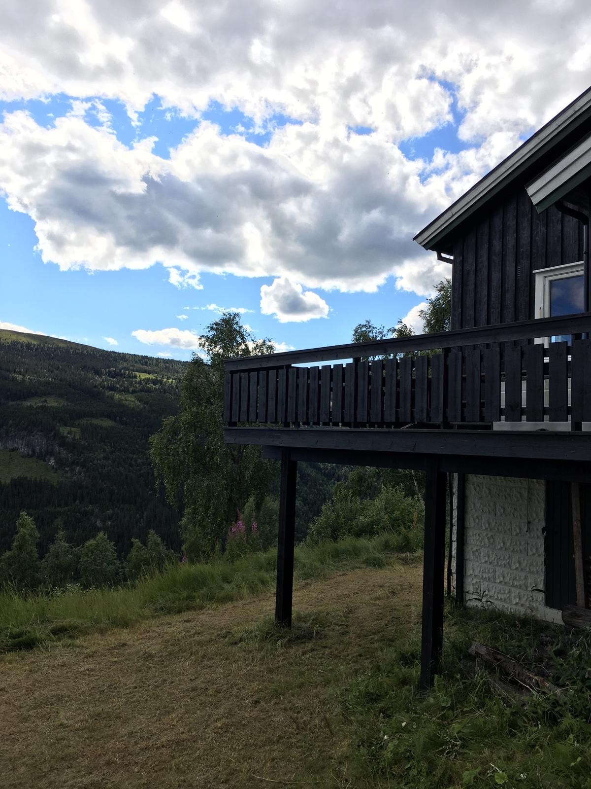 Mot vest Galleribilde