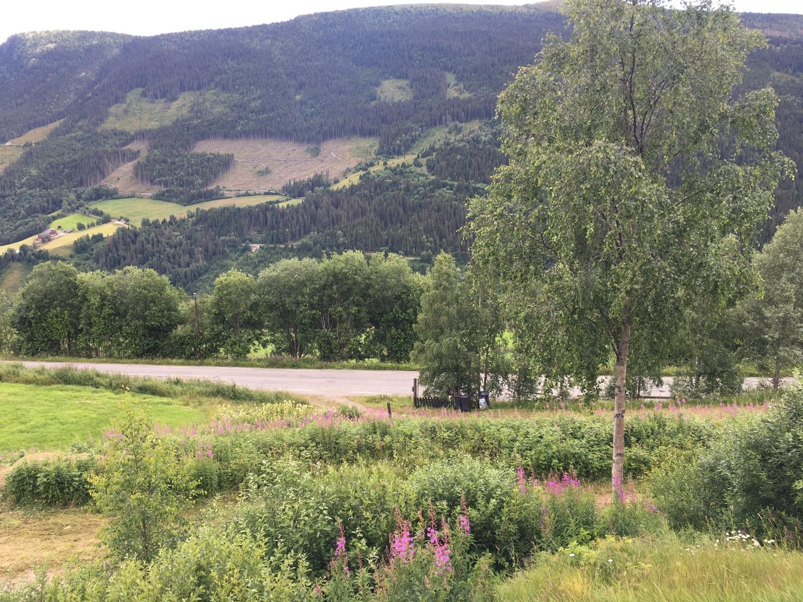 Mot sydvest Galleribilde