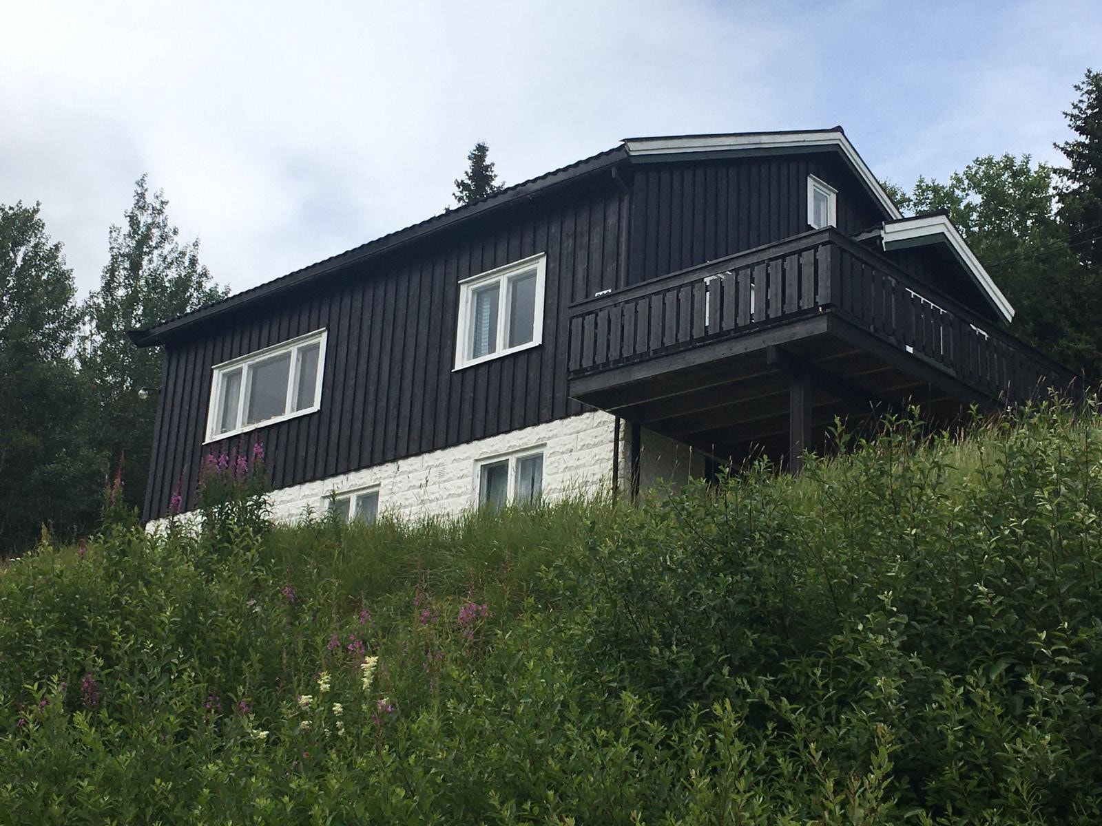 Fra sydvest Galleribilde