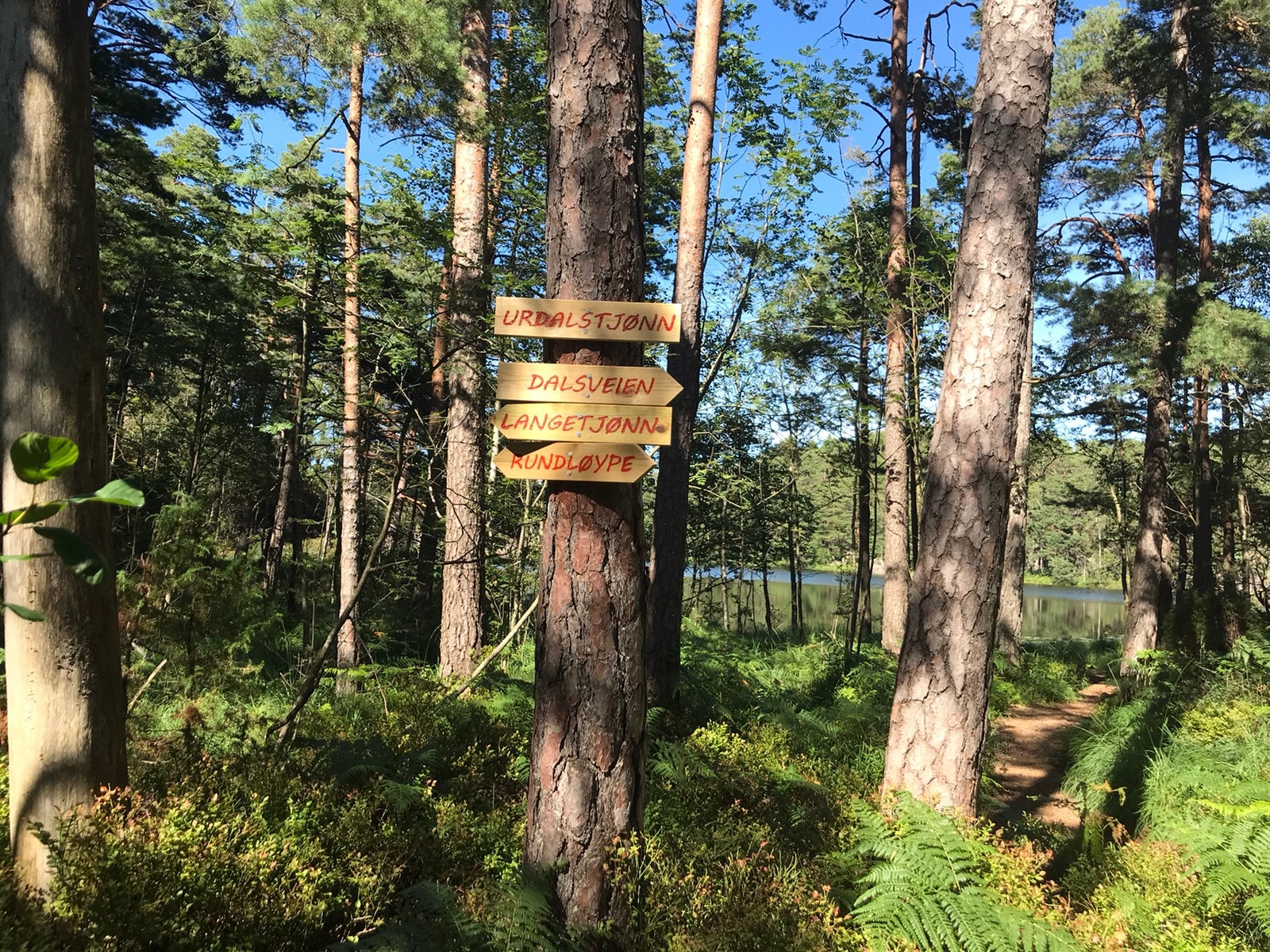 Turområde Galleribilde