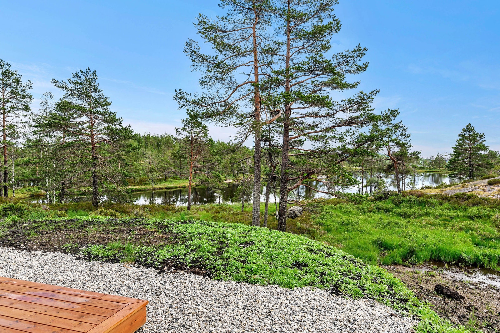 Fantastisk natur og utsikt rundt hytta. Galleribilde