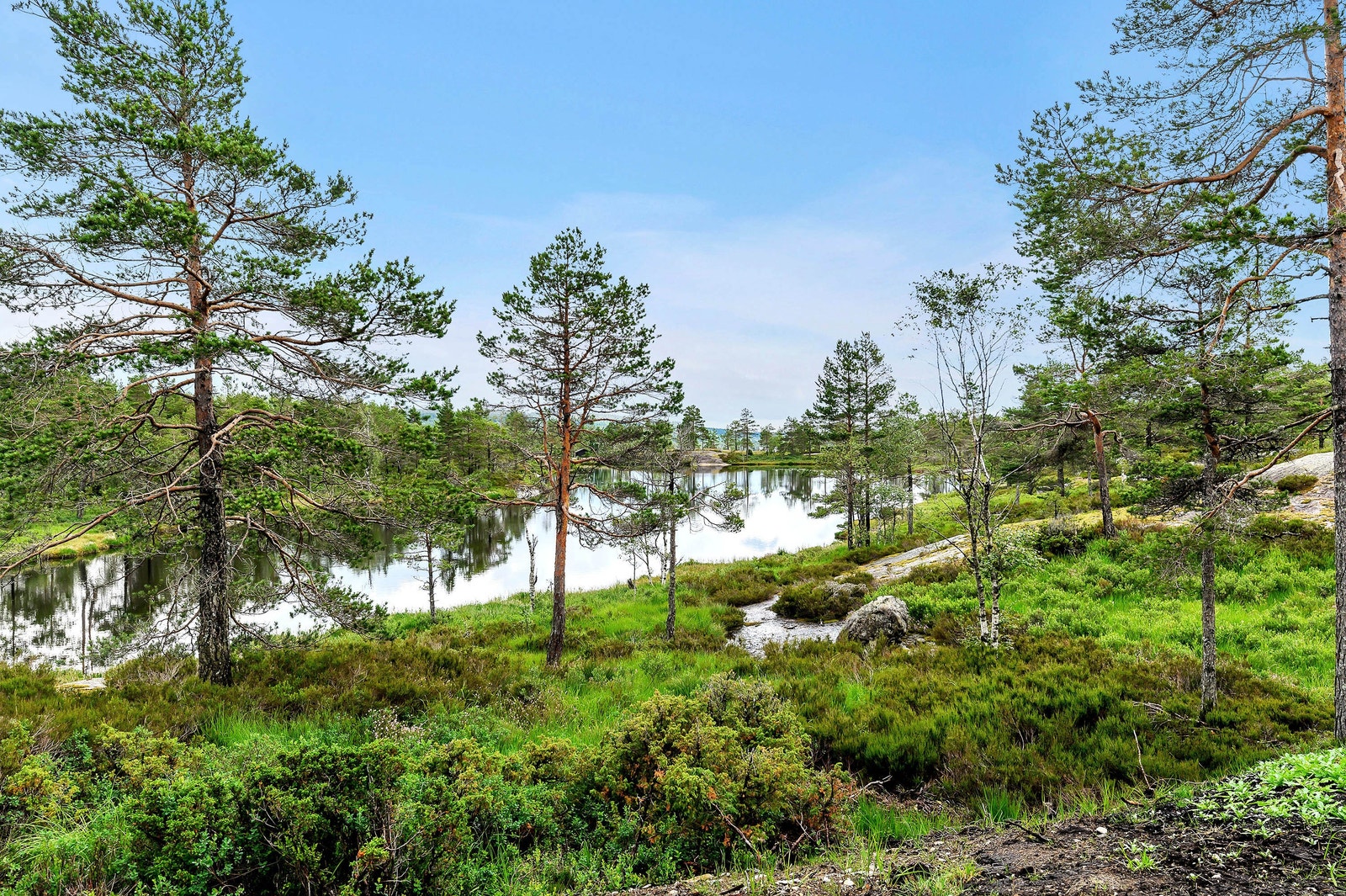 Området er utrolig flott, og bør absolutt sees. Galleribilde