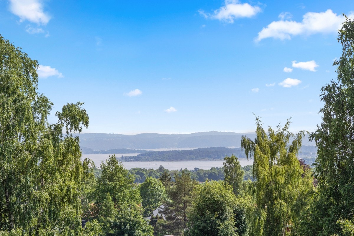 Fjordgløtt fra takterrassen på dagtid Galleribilde