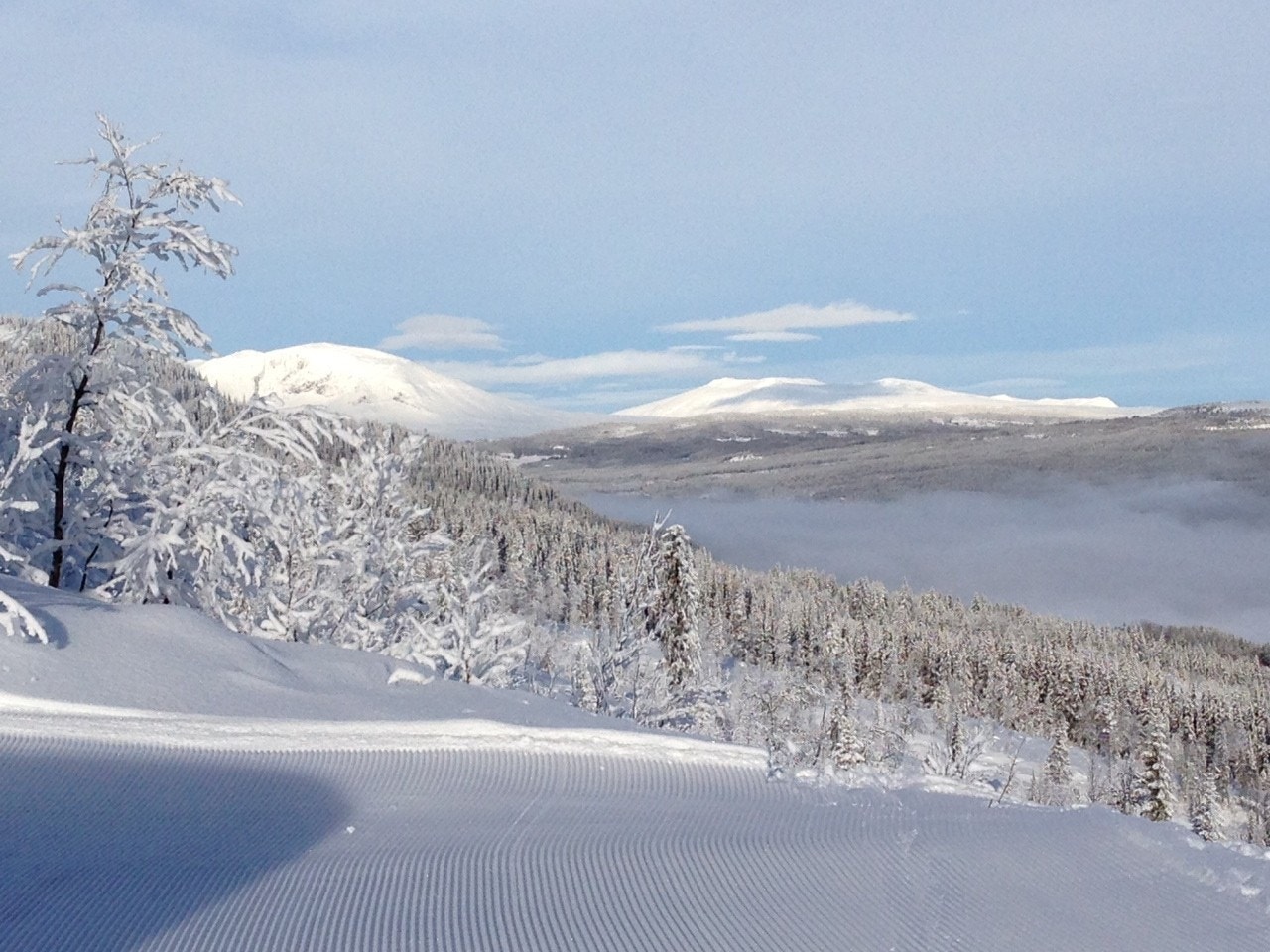 Høyfjell på alle kanter
På Skagahøgdi er du omgitt av fjell. I utsikten ligger fjell i alle horisonter. Og vil du på fjelltur så ligger viddene rett bak Skagahøgdi med flott utsikt mot både Hallingsskarvet og Reinsskarvet. Her er det muligheter for både k Galleribilde